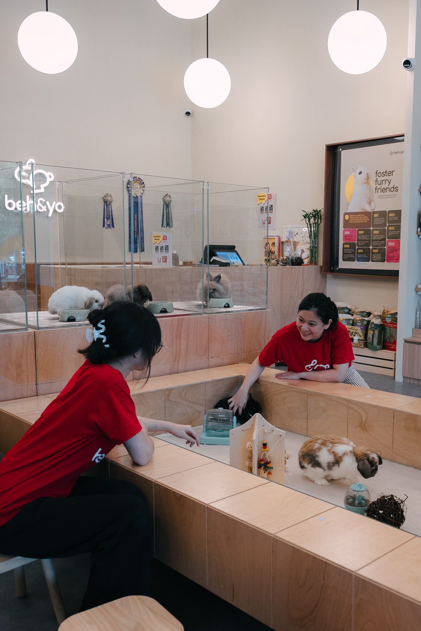 Rabbit care at Beh & Yo