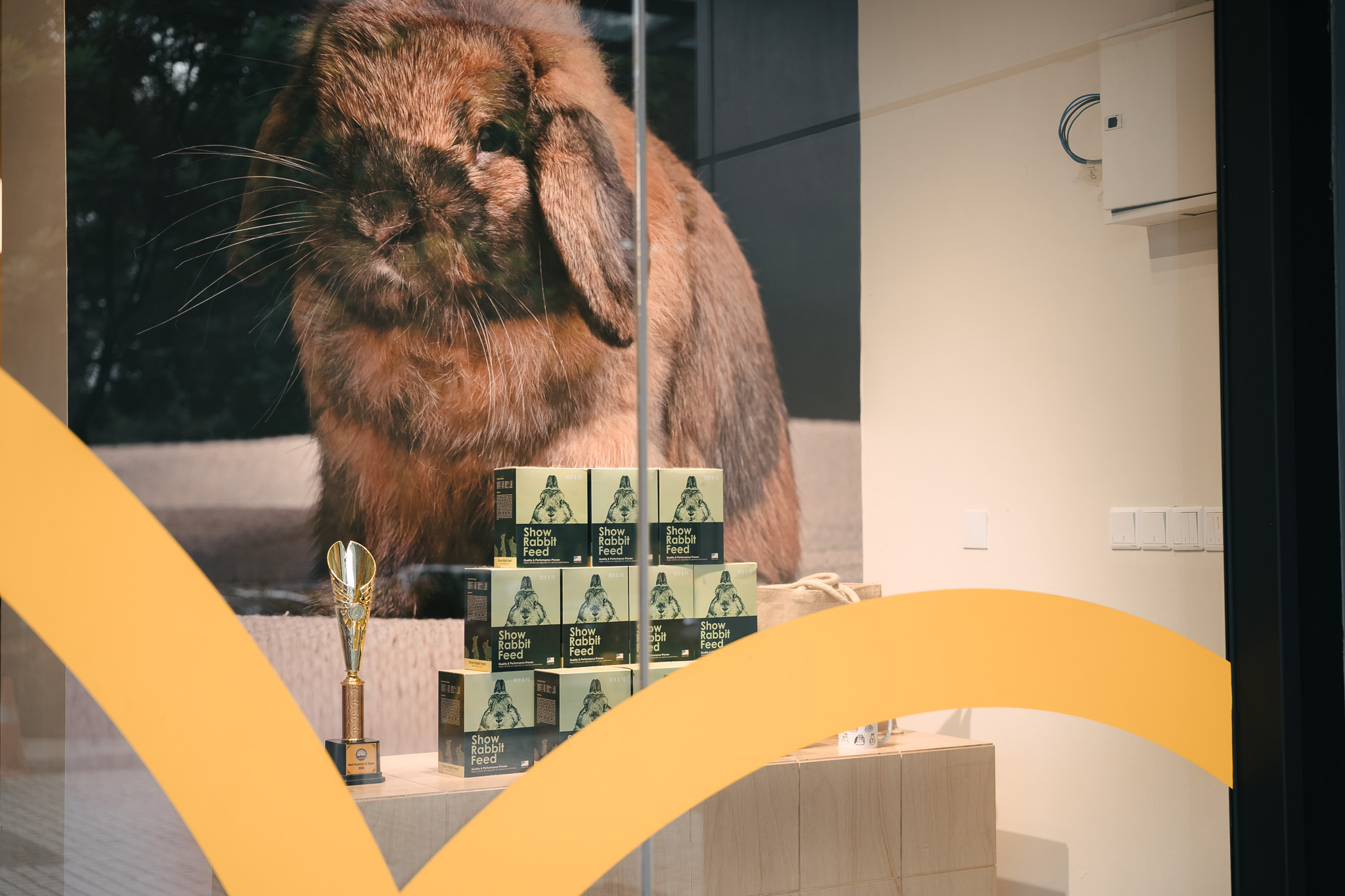 Password Reset Banner